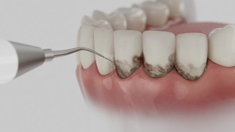 Reliable Dental contractor in Portage, MI by Dentist Open Now